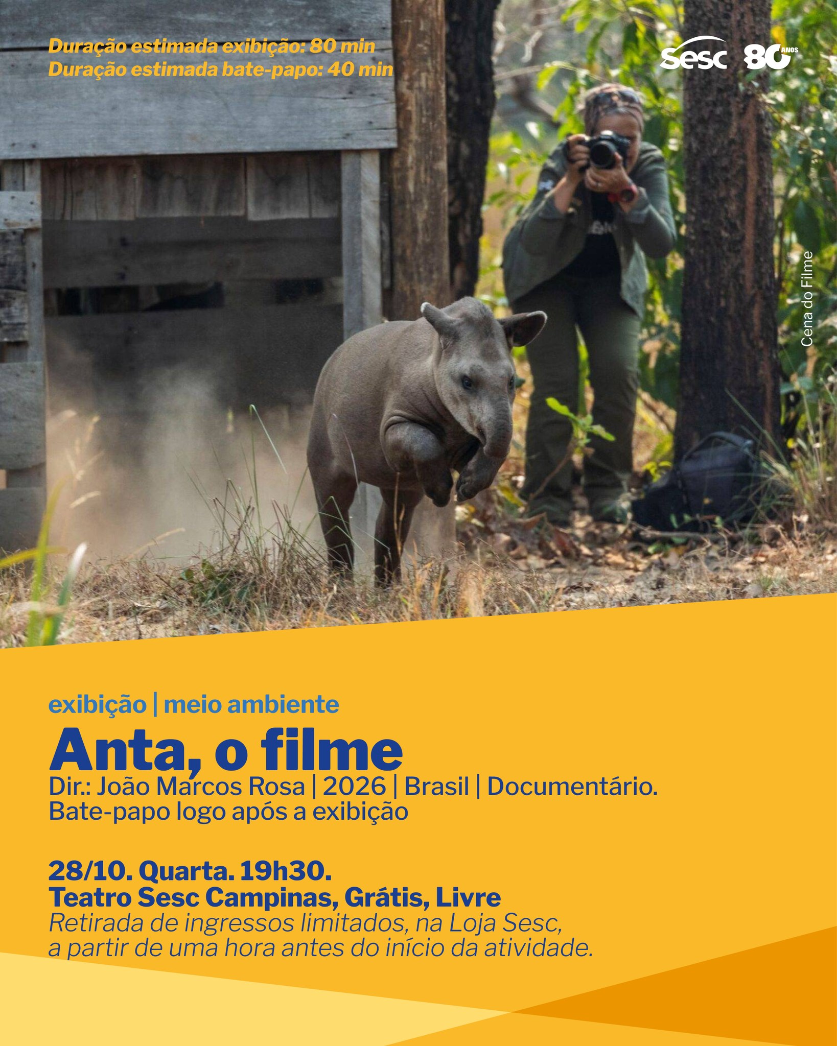 Anta, o filme