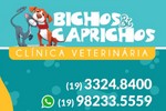 Bichos & Caprichos Clínica Veterinária