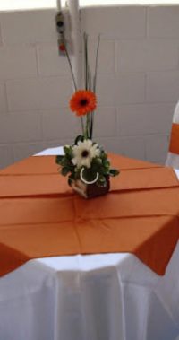 Foto 21