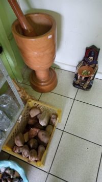 Foto 7