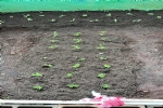 Foto 33