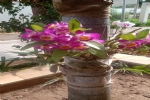Foto 34