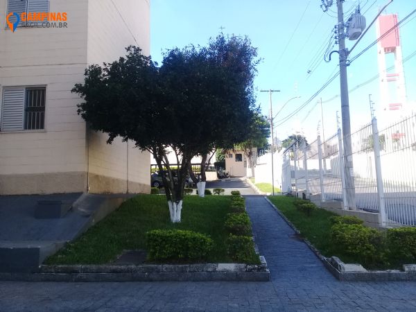 Apartamento em , Campinas - Ótimo apartamento 3 dormitórios à venda - Foto 13