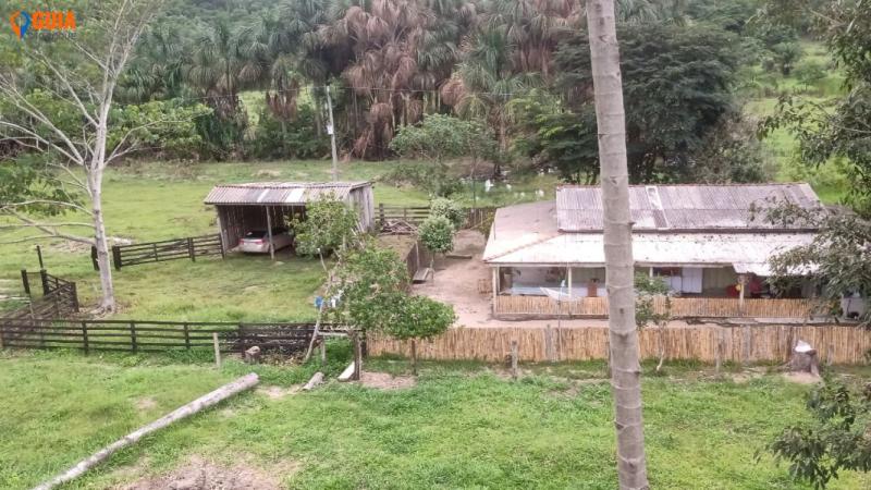 Fazenda em , Campinas - FAZENDA 77 Alqueires Mato Grosso - Foto 1