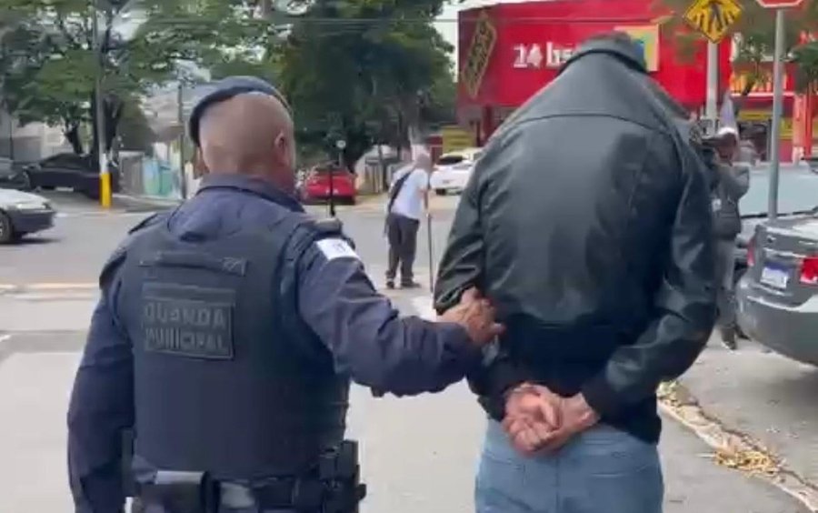 Homem que atirou gato pela janela de carro é preso pela GM