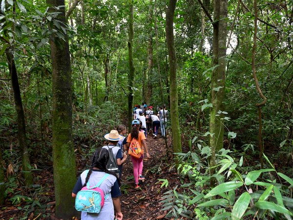 Mata de Santa Genebra prepara atividades especiais para a Semana da Criança