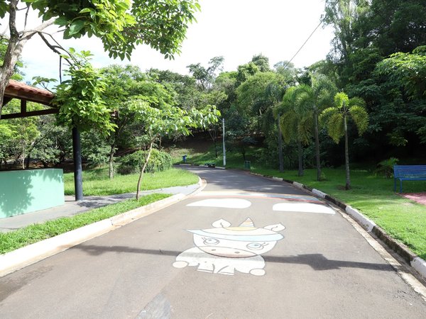 Após acumulado de chuvas, Campinas fecha parques e bosques das regiões Noroeste e Sudoeste