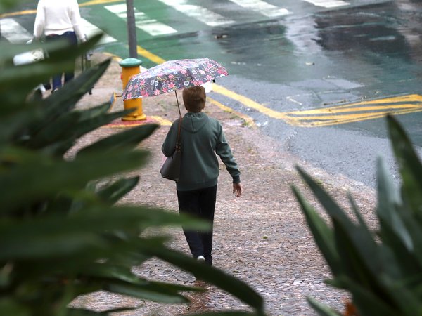 Campinas registra 18 ocorrências e mobiliza equipes após chuvas deste domingo, 25