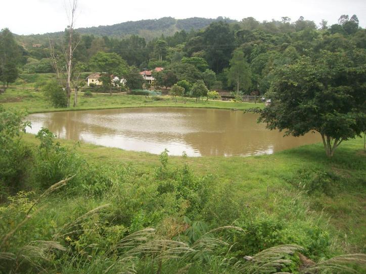 Rural em Chácara São Francisco, Amparo - Rural - Chácara São Francisco - Foto 1